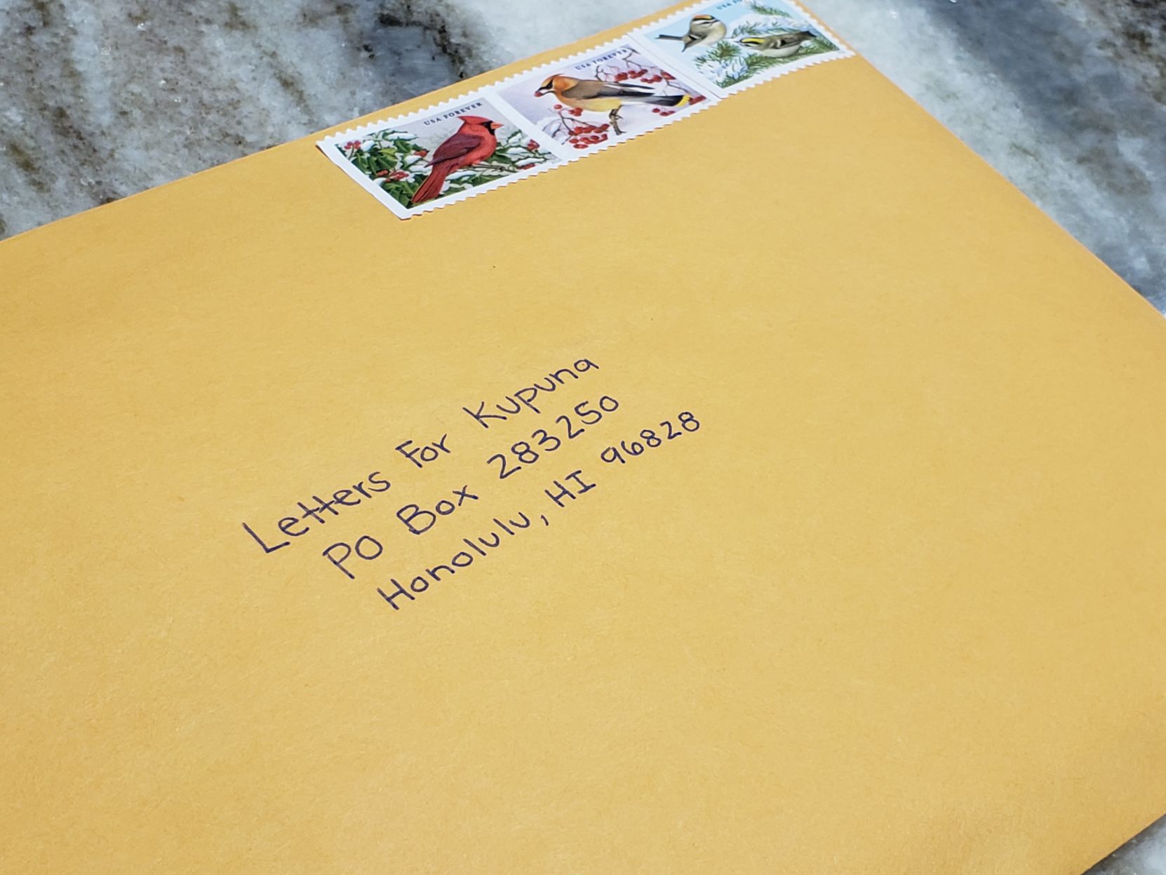 Letters for Kupuna - Photo